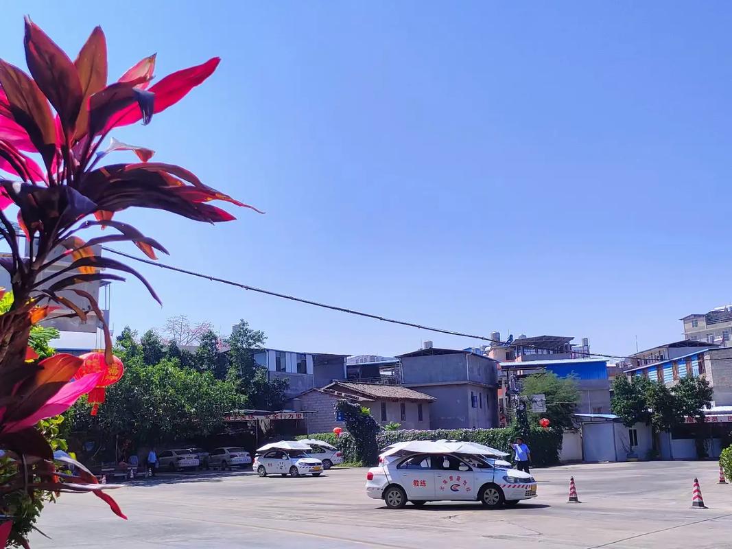 娄底市区驾校排名